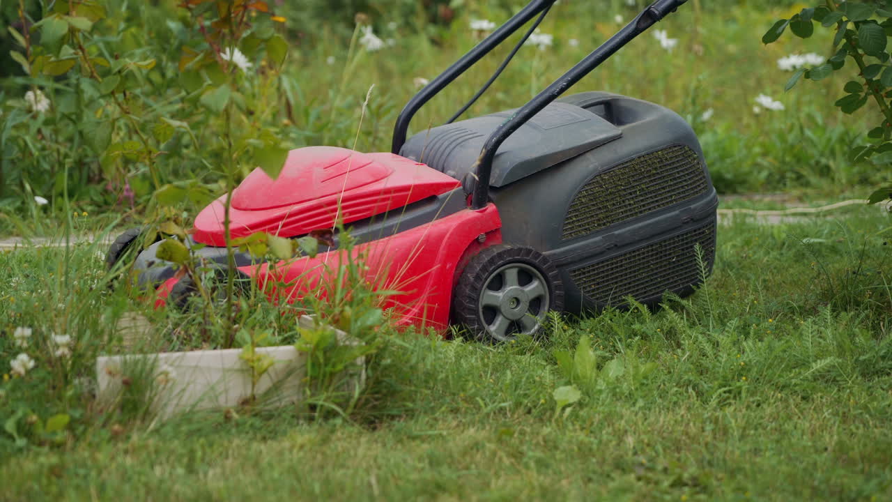 Close-up of mowing the lawn. Gardener mowing the grass with lawn mower