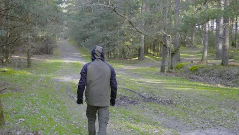 Static-shot-of-male-hiker-walking-away-on-a-gravel-path-through-Thetford-forest,-Norfolk,-UK-on-a-sunny-day