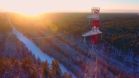 transmission lines in aerial forest. power engineering. electricity industry