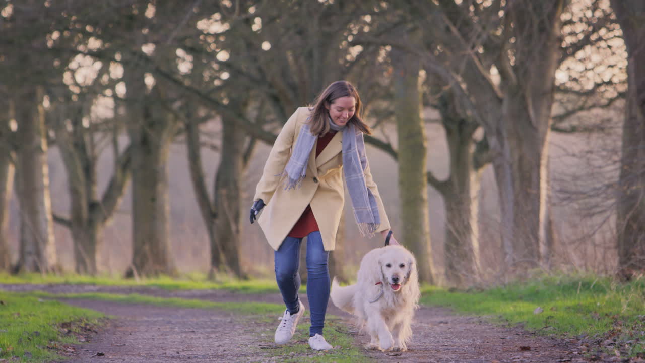 Premium stock video - Woman with prosthetic hand walking pet dog ...