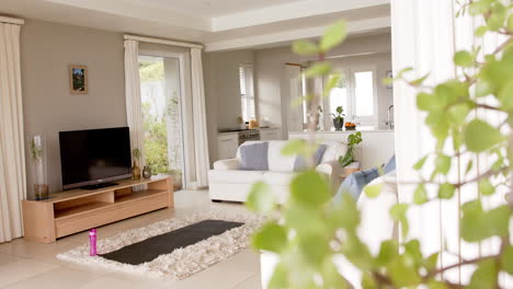 general view of light modern interiors with sitting room with sofa and tv, copy space, slow motion