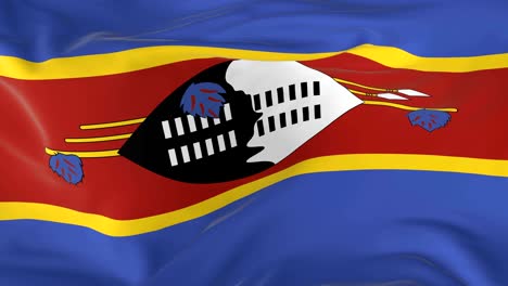 waving  looped flag as  background swaziland