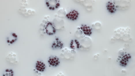 Ripe-berries-floating-bubbled-milk-closeup.-Organic-raspberry-foaming-cocktail