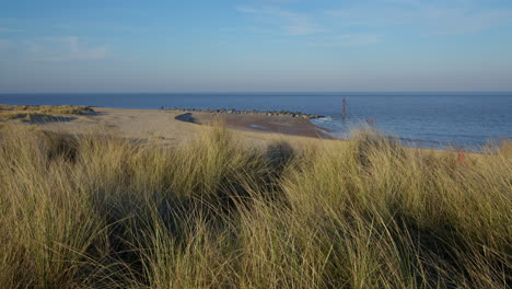 shots looking north of the sand dunes and marram grass at caister on sea