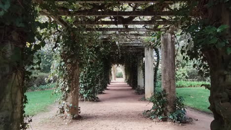 caminando a través de un túnel cubierto de enredaderas -de ancho