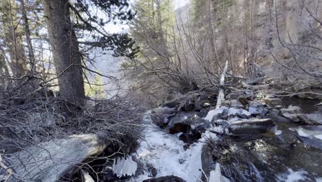 agua dulce super clean creek bubles, sustentabilidad, medio ambiente de recursos naturales