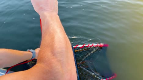 pulling up a crab trap from the water