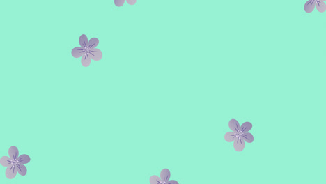 Animation-of-lilac-flowers-on-green-background