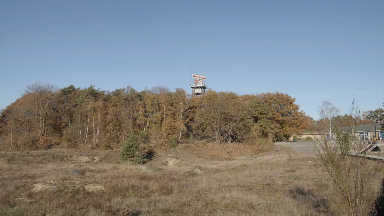 수목선 상공에서 작동 중인 레이더 - 와이드