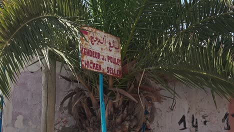 close view of a picturesque panel in taghazout