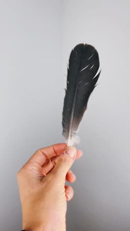 hand holding a feather