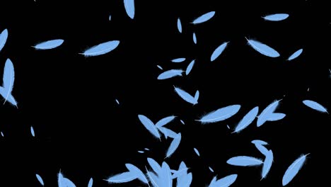 plumas azules ligeras partículas en vuelo gráficos de movimiento