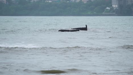 huge sea waves forming on a cloudy monsoon day in mumbai maharashtra india