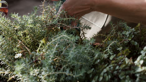 jardinero que trabaja en interiores