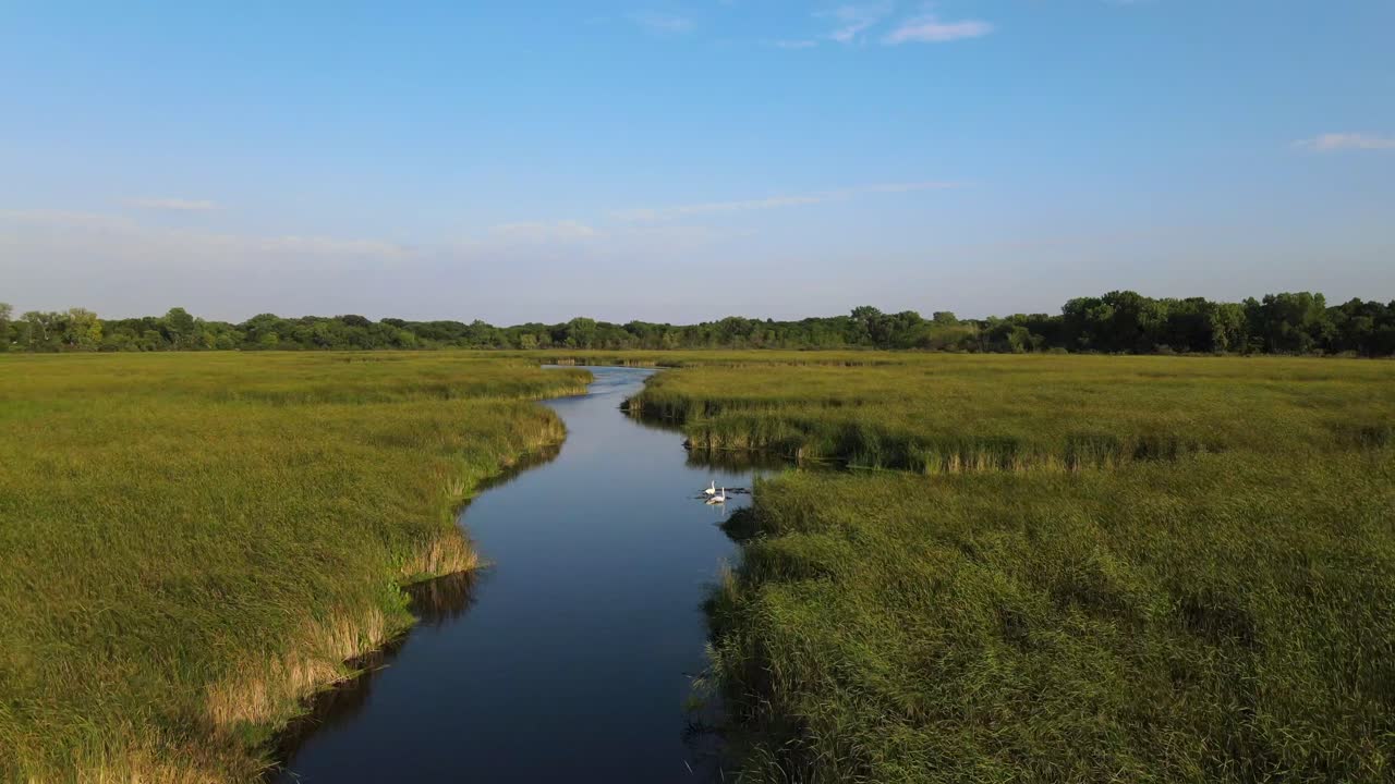 Drone flying low over the standing waters of waterlogged marshes at 9 mile creek, Bloomington Minnesota during early morning