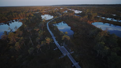 panning shot of water reservoirs and pathway in the swamp