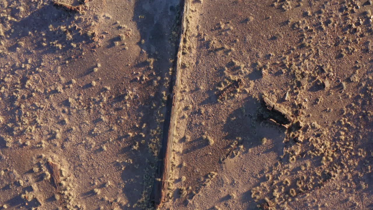 Top down view of petrified wood in badlands, grassland and desert area, hot and dry mars land sci-fi, hills and stunning pattern