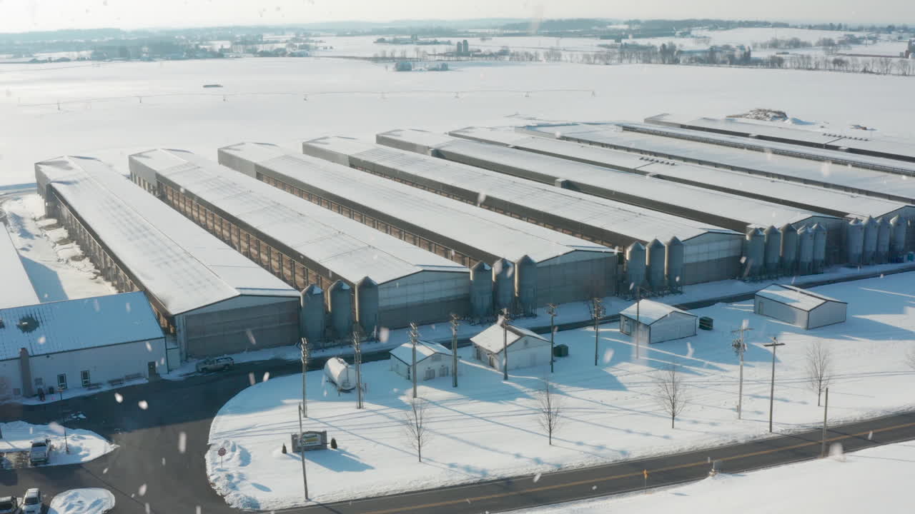 겨울 눈이 내린다