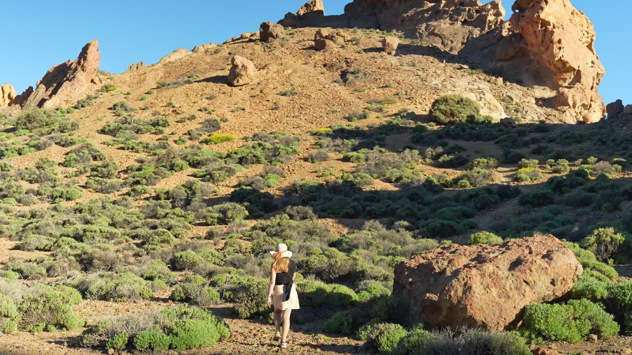 테이데 국립공원에서 산책하는 모험적인 젊은 여성