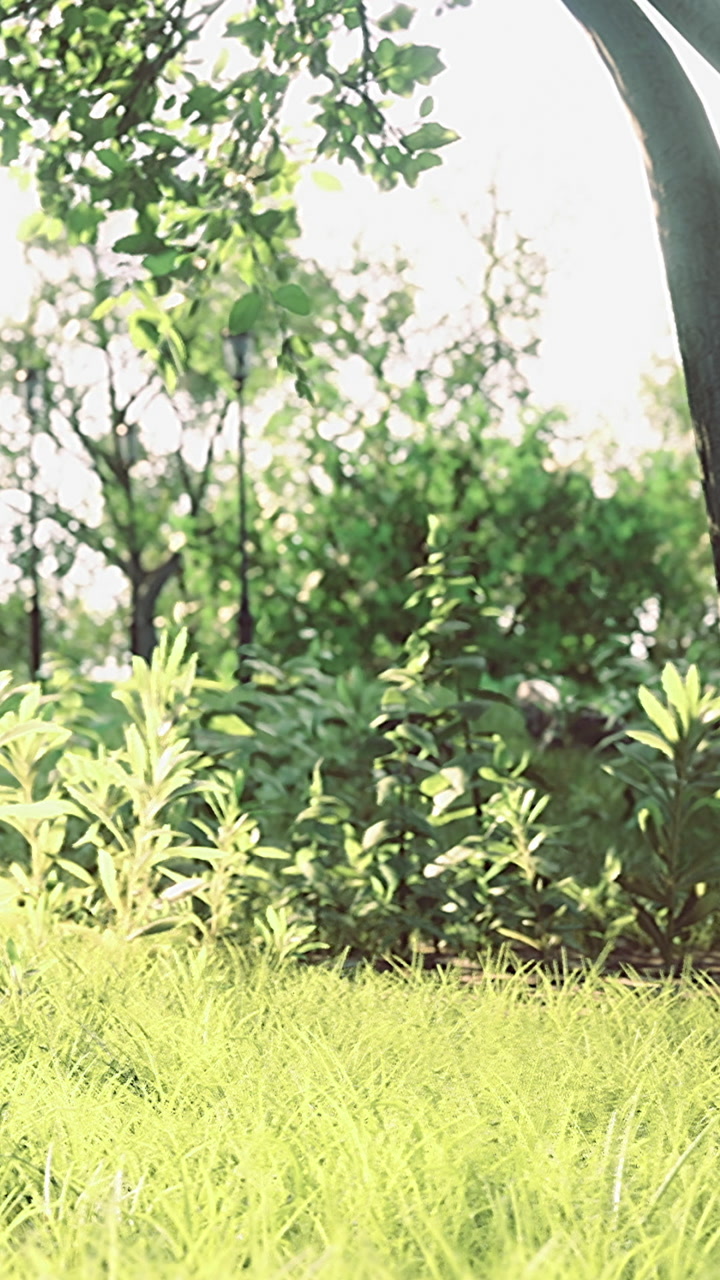 Bright green plants grow under trees in a sunny natural area