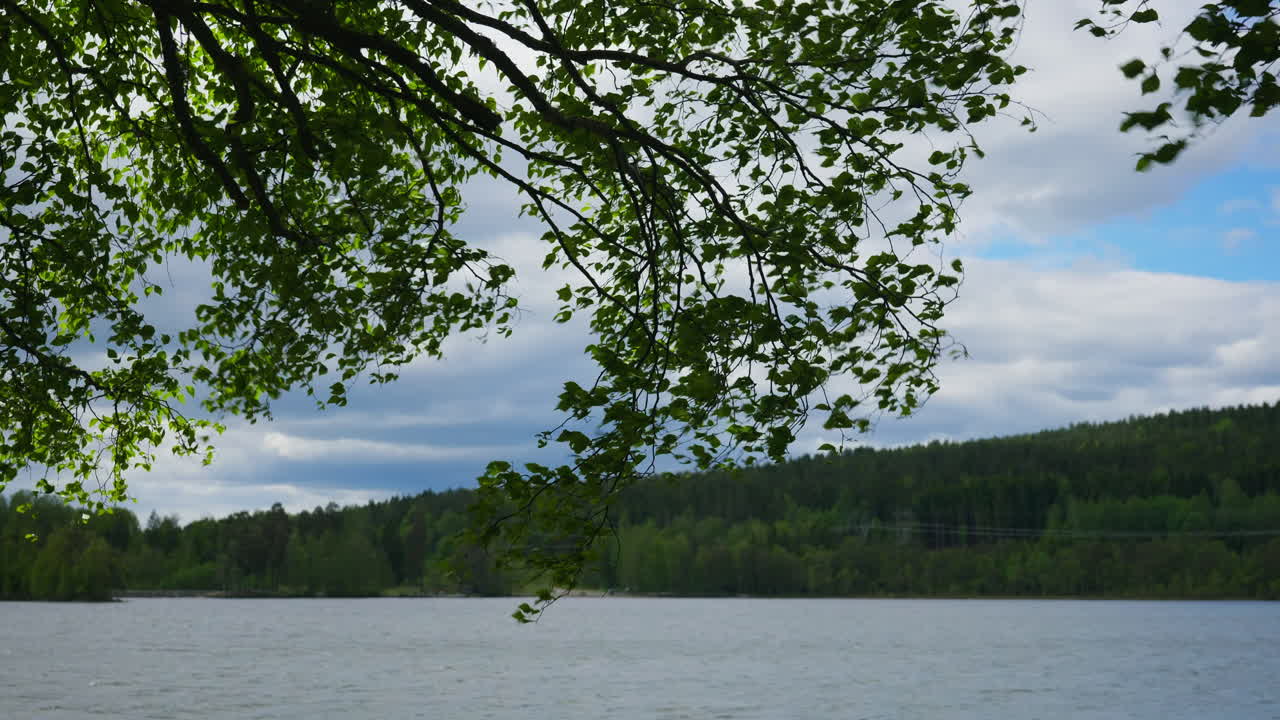 Leaves and branches moves with the wind with the lake Sognsvann in the background