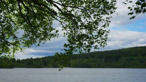 leaves and branches moves with the wind with the lake sognsvann in the background