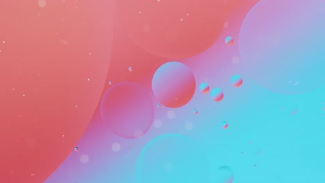 animation of bubbles moving on red and blue background with copy space