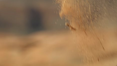 Slow-motion-macro-close-up-of-orange-sand-falling-passed-view-onto-the-ground-in-the-desert-of-southern-Utah-on-a-warm-sunny-summer-day