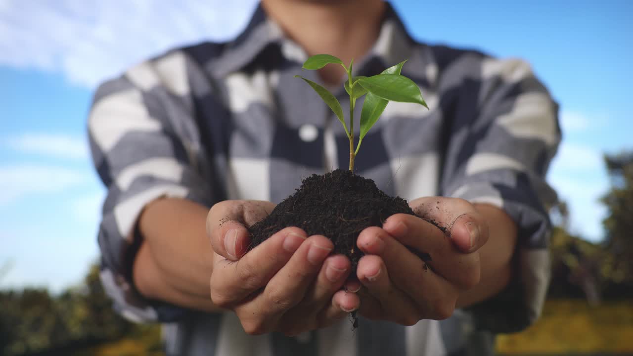 close-up de un granjero masculino que muestra barro de tierra negra con un brote de árbol en las manos a la cámara en el bosque