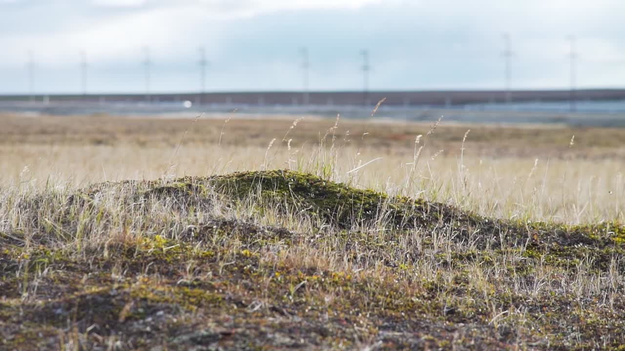 ландшафт арктической тундры с ветряными турбинами