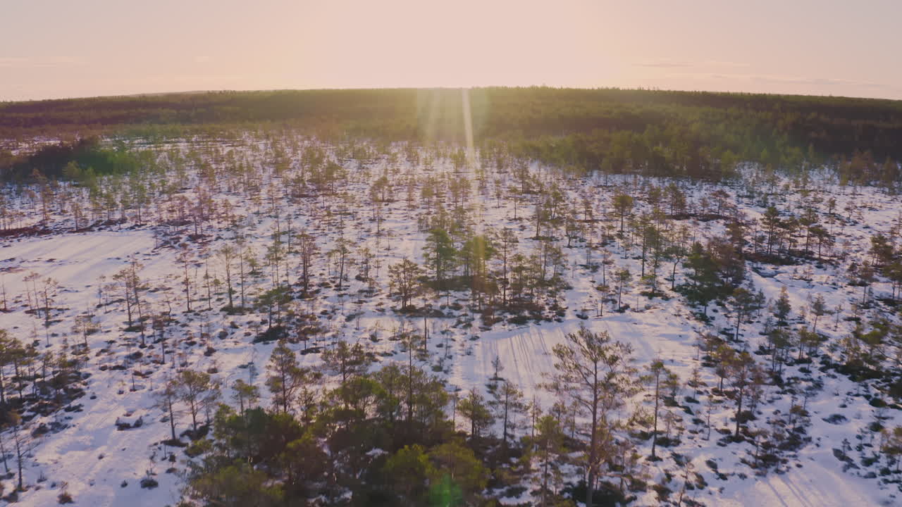 Early morning sunrise in the bog