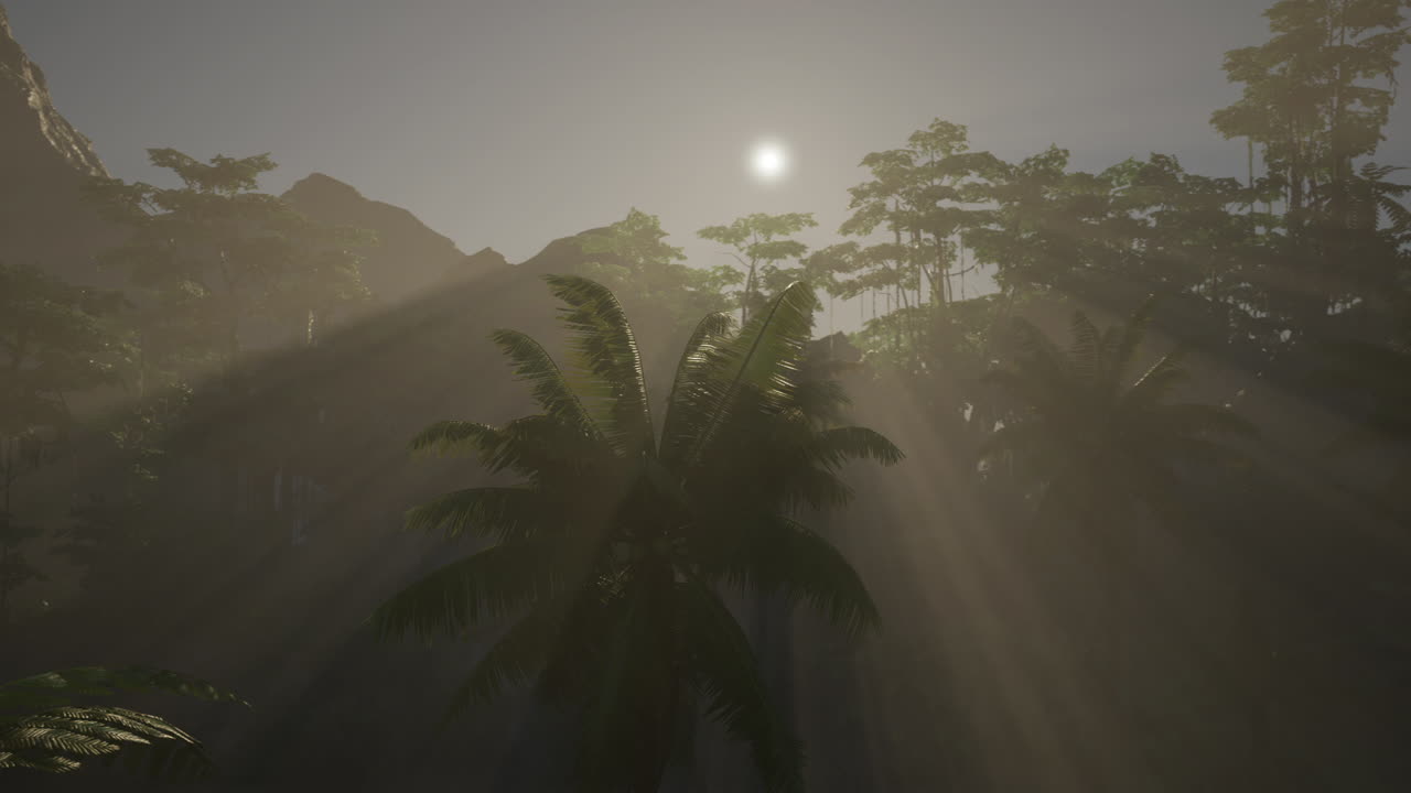 빛 이 있는 열대 숲