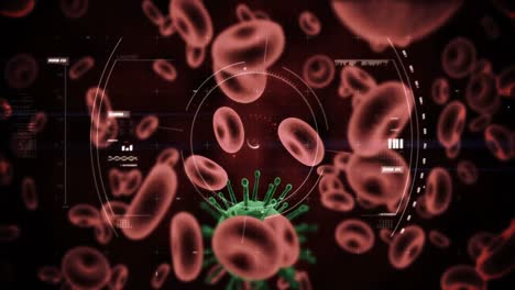 Digital-Generierte-Viruszellen-Und-Rote-Blutkörperchen-Vor-Schwarzem-Hintergrund