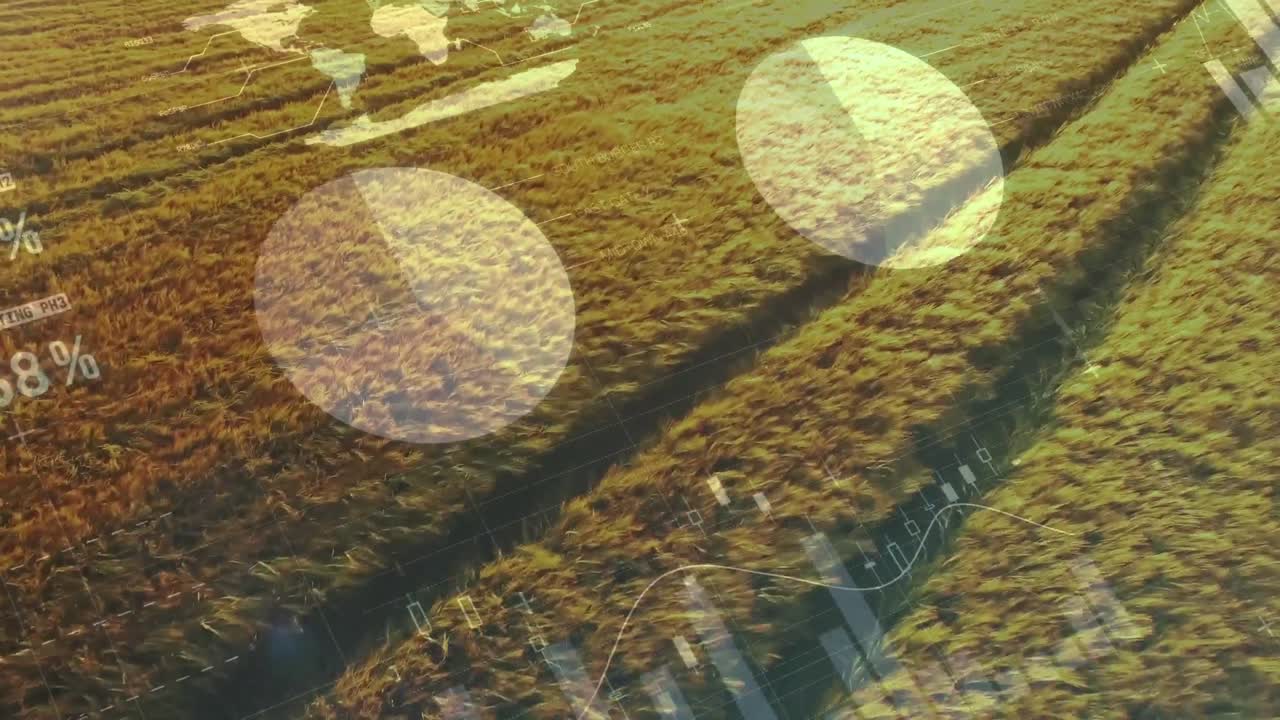 animación del procesamiento de datos financieros en el ámbito de la agricultura