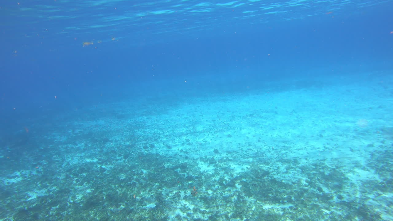 océano limpio buena visibilidad bajo el agua en fondo de vídeo océano | video submarino de agua limpia y vacía del océano azul profundo