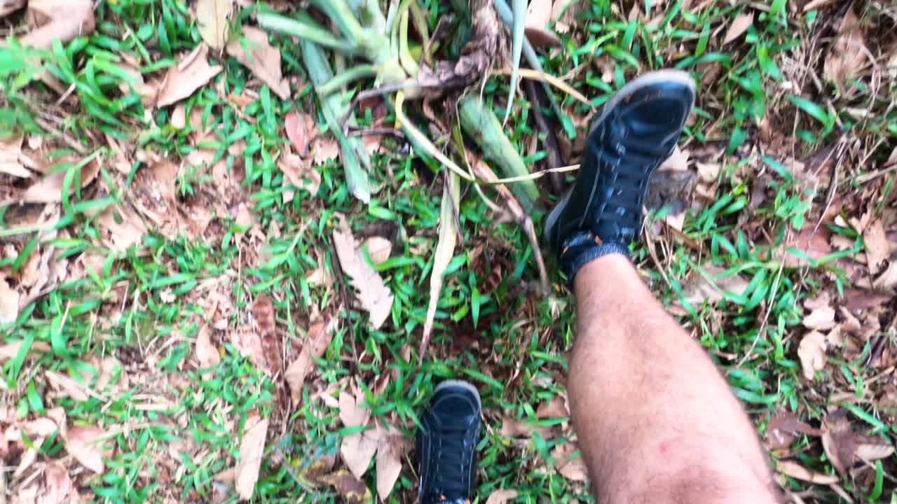 Video of feet walking through the green forest