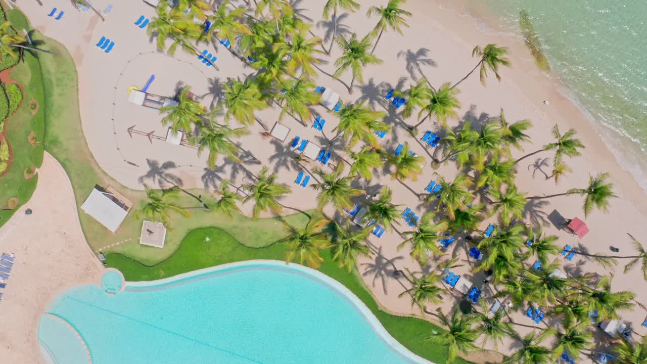 piscina en el hotel de playa con palmeras en un día soleado de verano en juan dolio, república dominicana