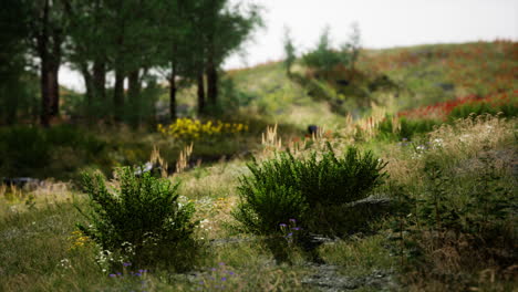 idyllic landscape in the alps with fresh green meadows and blooming flowers