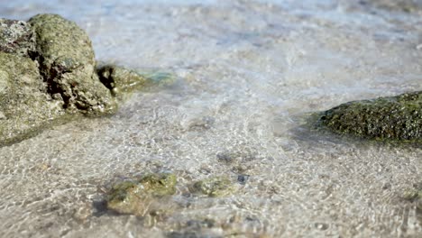 las tranquilas olas del océano bañan suavemente la playa de arena con rocas esparcidas