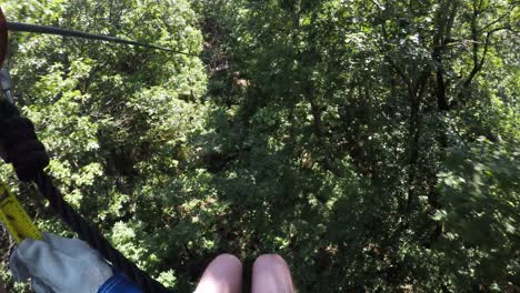 person in harness riding zip line through georgia forest trees, pov