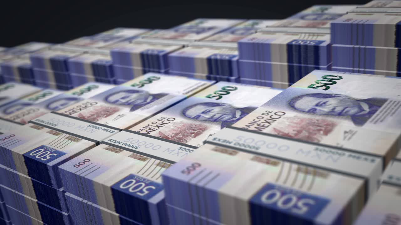 멕시코 페소 (mexican peso) - 금전 지폐  성장