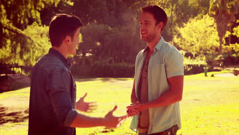 two friends talking together in the park