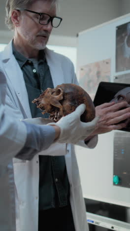 scientists examining an ancient skull