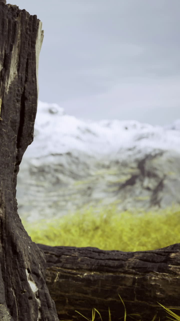 Paesaggio suggestivo di montagne e distese erbose con un tronco d'albero in primo piano.