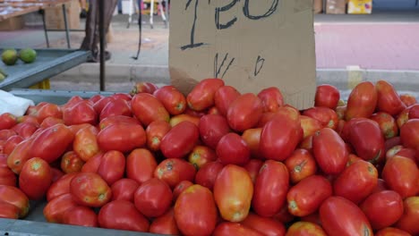 piles of vibrant, fresh tomatoes in rich red hues are beautifully displayed at the bustling saturday open-air market, offering a feast for the eyes and tastebuds.