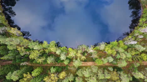 top down aerial of sky reflection on still calm lake water surrounded by forest