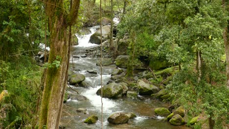 vista mirando río arriba en el río que fluye en el bosque en costa rica