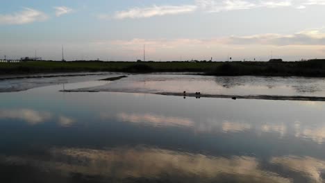 Spiegelung-Von-Wolken-In-Einem-See,-Während-Enten-Herumchillen