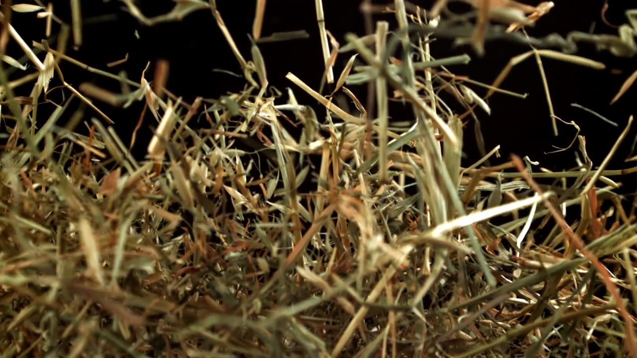 Dry Hay Falling and Settling on a Black Background in Slow Motion