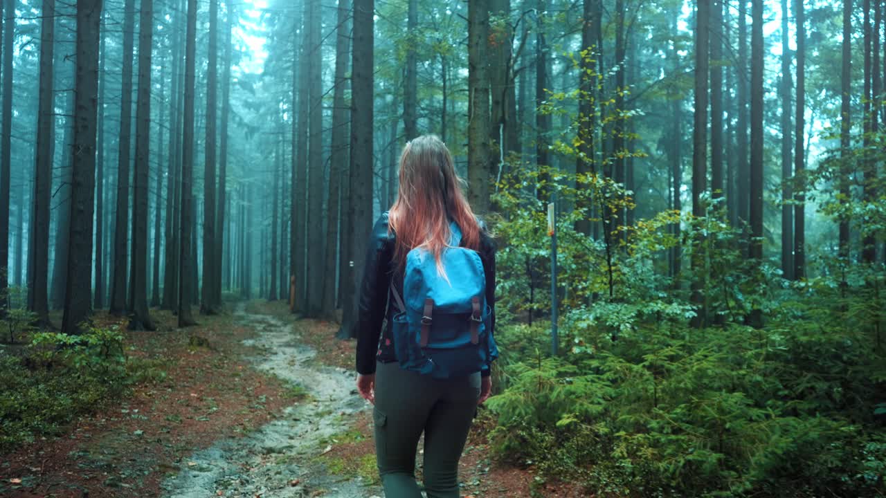 joven viajera femenina con cabello largo y una mochila está caminando sola a través del bosque en una fría mañana de niebla